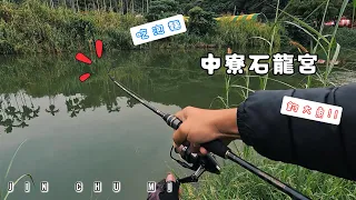 【釣魚津觸咪】南投中寮石龍宮拜拜，順便吃泡麵&釣魚 #V特 #路亞 #泡麵 #土地公 #JinChuMi #JCM #Fishing #Lure