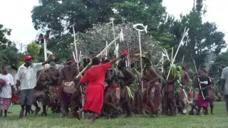 Pentecost, Vanuatu, Custom Dancing