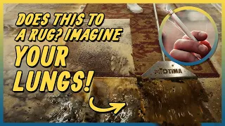 Tobacco Damaged Carpet Cleaning | Relaxing ASMR Rug Cleaning