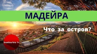 МАДЕЙРА. Что за остров? Как добраться? Фуншал - столица Мадейры