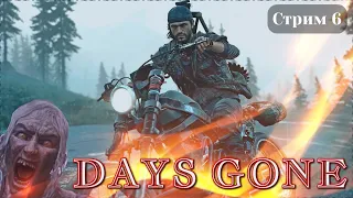 DAYS GONE (Жизнь После) ➤ Стрим #6➤Полное Прохождение