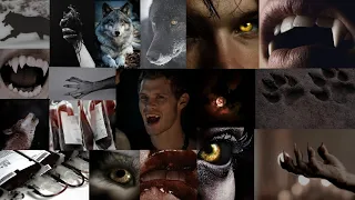 Original Hybrid Subliminal ~ Werewolf and Vampire (sleep)