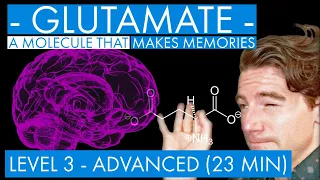 Glutamate - A Memory Molecule (synaptic plasticity mechanism) (Level 3 - Advanced)