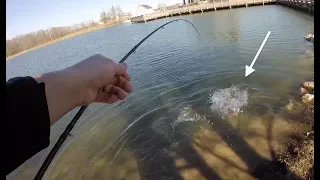 Hooked Into A Pond MONSTER!