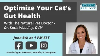 Optimizing Your Cat's Gut Health with The Natural Pet Doctor, Dr. Katie Woodley, DVM