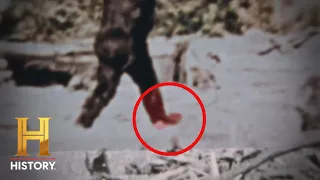 The Proof Is Out There: REMARKABLE EVIDENCE of Bigfoot's Footprint (Season 2) | Exclusive