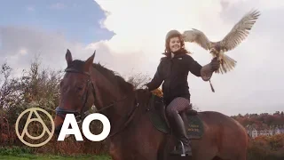 Horseback Falconry in Southern England | Atlas Obscura Tries | Atlas Obscura