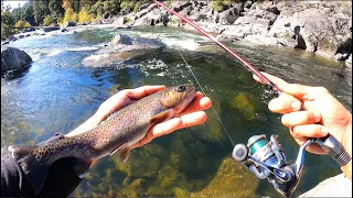 Catch and Cook WILD Trout Last One of the Year