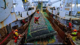 Life on the Most Advanced Deep Sea Fishing Vessel - Unbelievable Hundreds of tons of fish caught #02