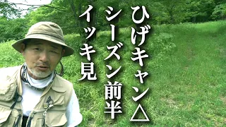 《イッキ見１》「ひげのソロキャンプ、夏。」シーズン前半（#1〜#8）水曜どうでしょう藤村Dの夏休み。