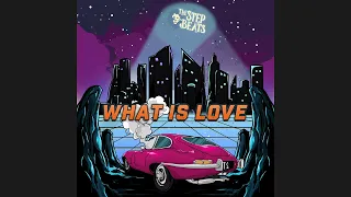 The Step Beats - What Is Love