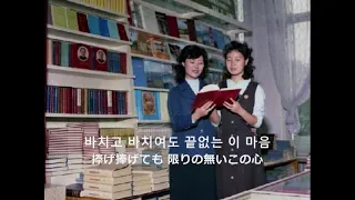 평양을 나는 사랑해 　I love pyongyang