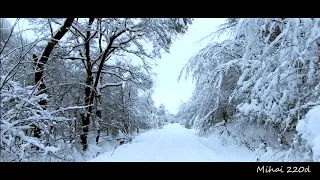 Scenic Winter Forrest Drive
