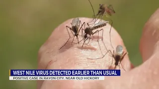 West Nile Virus detected earlier than usual; positive case reported in Rayon City