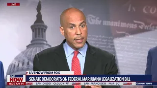 Legalizing marijuana: Senate Democrats draft bill to decriminalize cannabis I LiveNOW from FOX