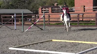 Teach your horse flying changes with Yazmin Pinchen | Horse&Rider