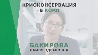 Криоконсервация в КОРЛ | Бакирова Наиля Эдгаровна | Репродуктолог Корл Казань