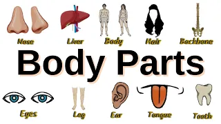 Body Parts Vocabulary  |  Listen and Practice | Animated