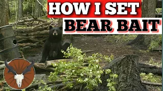 Bear Season Part 1 "How I set my bear bait"