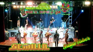 ❤️💛💚✨ BAILANDO MORENADA CON EL GRUPO SEMILLA - BALLET FOLKLORICO NUEVA ESPERANZA