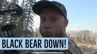 Saskatchewan Spring Bear Hunt 2021