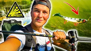 PIKE FISHING in Small Super Shallow River (Explosive Strikes) | Team Galant