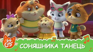 44 Cats | "Соняшника танець" пісня [ВІДЕОКЛІП]