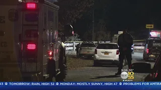 Woman's Body Found In Staten Island Woods