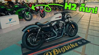 เท่แต่ห้ามลุยฝน Harley Davidson 48  Sportster 1200 จริงหรือ! แต่ทำไม H2 หล่อจัง