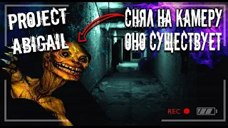 Rake? Scary Creature Caught on camera| Abigail Project