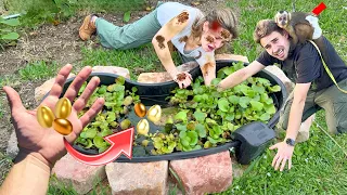 My Sister Found A Pond Filled with Hidden Eggs !