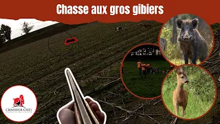 CHASSE aux GROS GIBIERS ! SANGLIERS et CHEVREUILS en BRETAGNE !