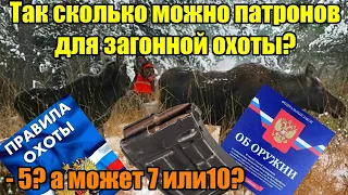 5 патронов на загонной охоте!  Миф или правда?