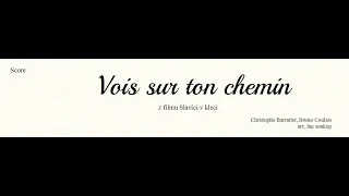 Vois sur ton chemin - Les Choristes (B. Coulais, B. Barratier), version: CHAMBER ORCHESTRA