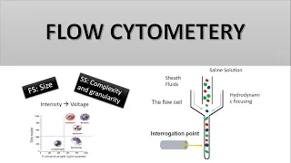 The Principle of Flow Cytometry and FACS (1- Flow Cytometry)