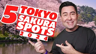 Tokyo FIRST TIME Sakura Cherry Blossom Viewing Guide TOKYO  & A Hidden Cherry blossom Gem
