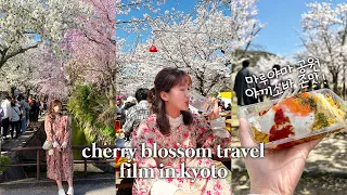 (ENG) 2023 교토 벚꽃명소 3박4일 여행 vlog | 만개한 벚꽃 교토 풍경🌸,마루야마 공원,도지라이트업,케아게인클라인,료칸오하나보,교토 미슐랭 라멘집까지!