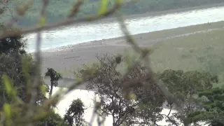 Aterrizaje, carga y despegue de la avioneta CP-2780, en el pueblo de Mayapo