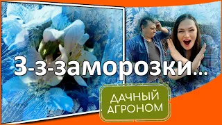 Беспокоитесь из-за возвратных заморозков? Вот что надо делать!