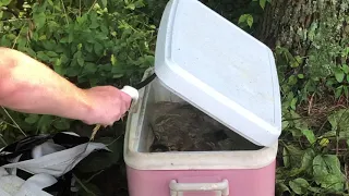 found dead body in a cooler at a lake