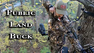 PA Archery Hunting on Public Land 2023 | 10 Point Buck Self-Filmed