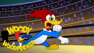The Contender | Woody Woodpecker