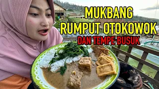 Mukbang Rumput Otokowok Dan Tempe Busuk Sambil Lihat Pemandangan Super Megah