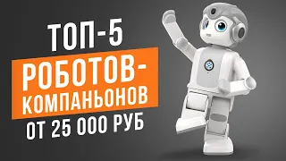 ТОП-5 Умных роботов-компаньонов от 25 000 рублей. Лучшие умные роботы в 2023 году!
