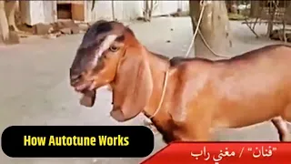 HOW AUTOTUNE WORKS 😂😂  #autotune Goat 🐐🎛️