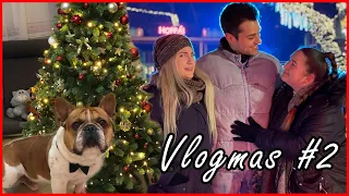 Korizás, kutyusozás, fadíszítés! | VLOGMAS #2