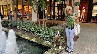 MIAMI LIVE Exploring Bal Harbor Shops & Beach February 19, 2022