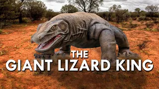 Megalania: The Biggest Lizard Of All Time