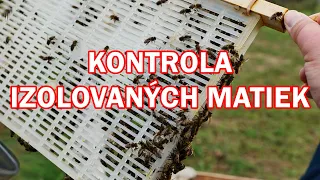 218. Kontrola zaizolovaných matiek