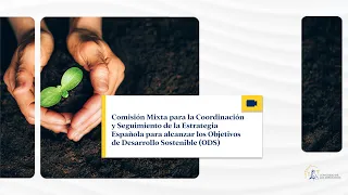 Comisión Mixta para el Seguimiento de la Estrategia Española para alcanzar los ODS - 29/04/2024